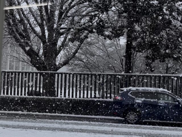 宇都宮市は朝から、大雪！　　宇都宮　とば整骨院